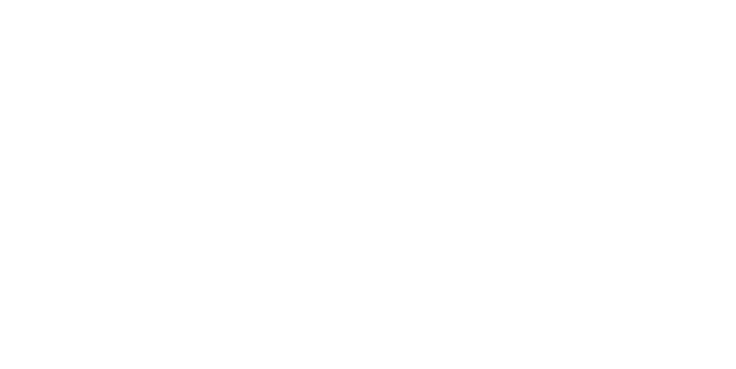 Themis Legal Group, PLLC